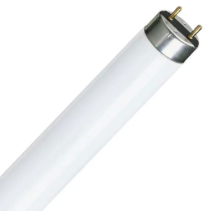 Resíduo de lâmpada fluorescente - 20 unidades